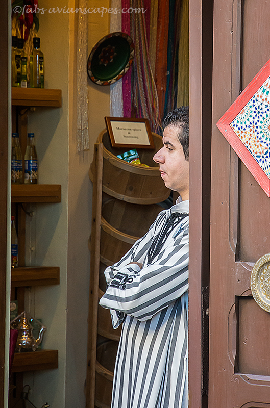 DSC00137-121123-Edit