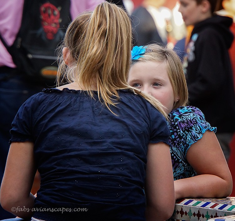 DSC00629-121124-Edit