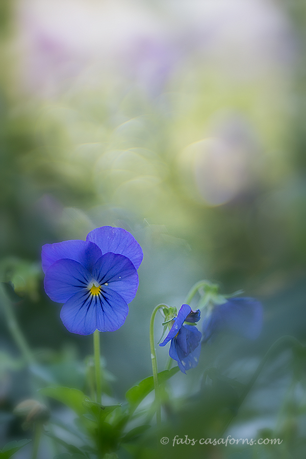 Two exposures blended in CS6