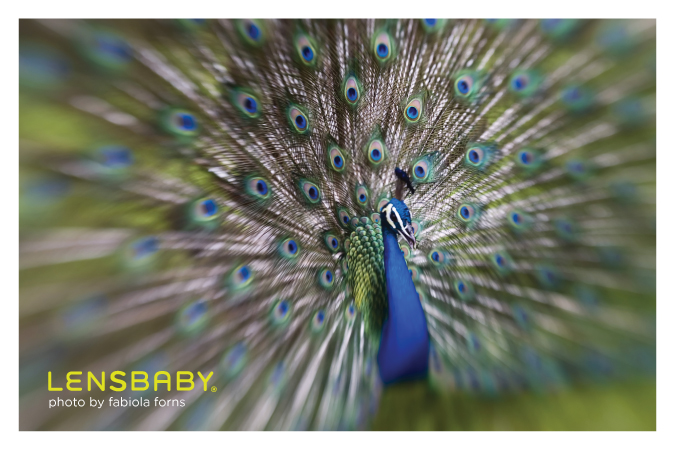 LensBaby gift card 2010