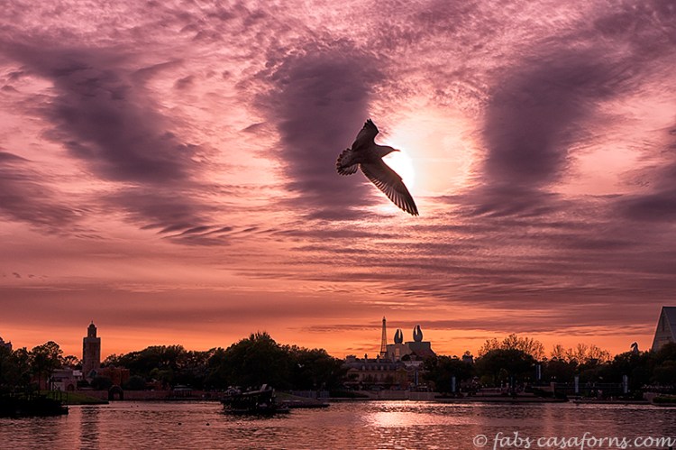 Finished product resized and sharpened for web.