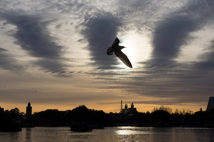 Image as shot. Sony Nex7- 5ony 50 f1.8 @ 1/2000, ISO 400