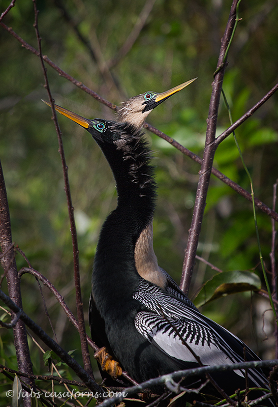 Getting to know each other