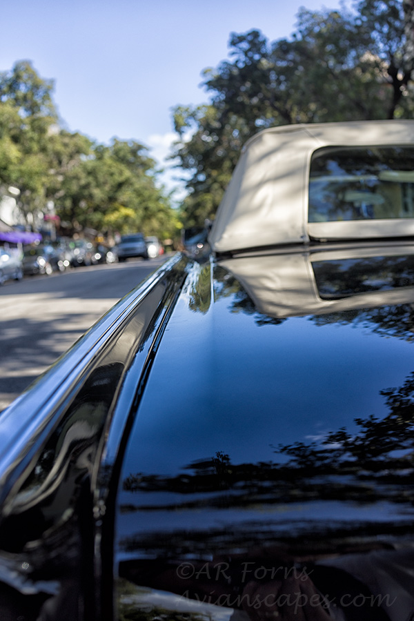 Old Lincoln Continental very well kept.   RX-1 wide open at f/2