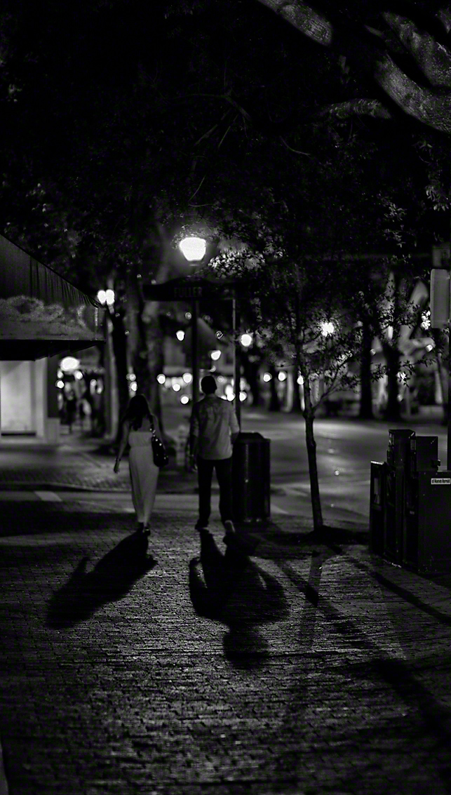 50mm Noc  f 0.95   1/125 sec  ISO 320 