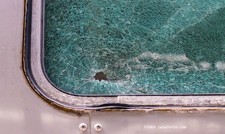 Leica D-lux 6, f/2, 1/20, ISO 400