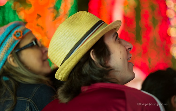 In amazement !!    Leica  75 APO-Summicron Asph