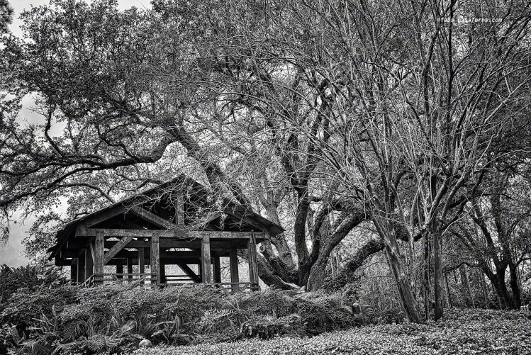 M240, 35 Lux, Port Orleans, Riverside WDW