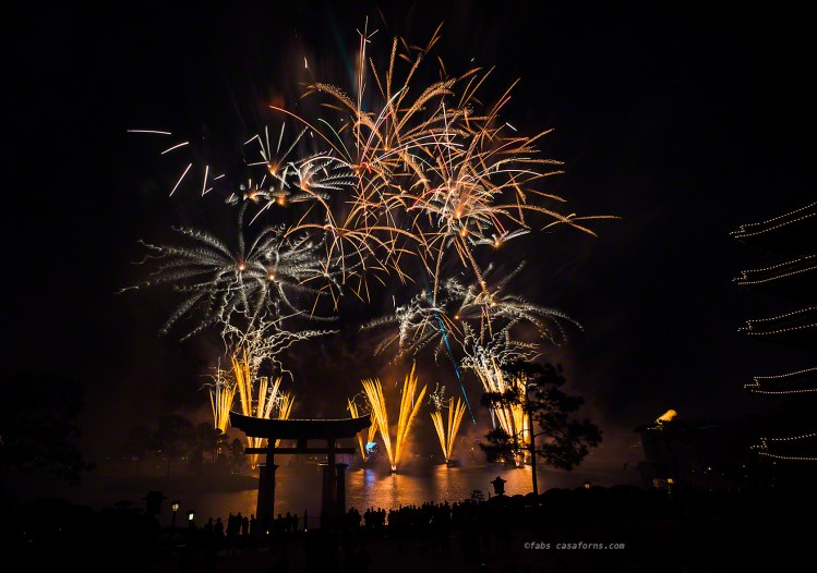 Epcotfireworks18mm