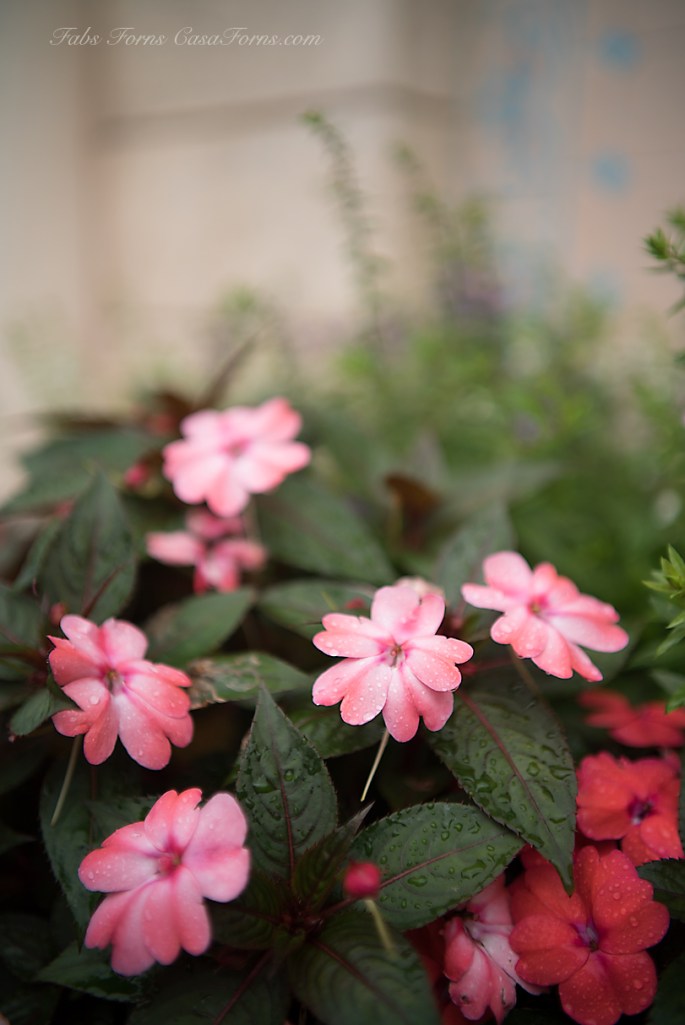 Sony a7s, 35 LUX ASPH, B&W 3X filter f/1.4, 1/1250, ISO 100