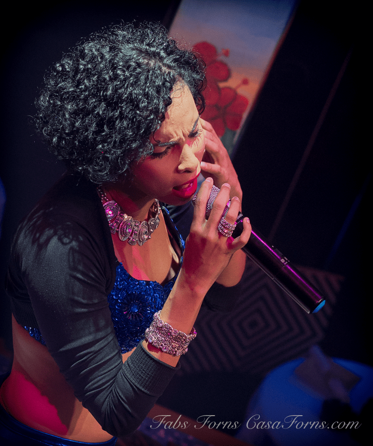 SoBe pixelcropsinger