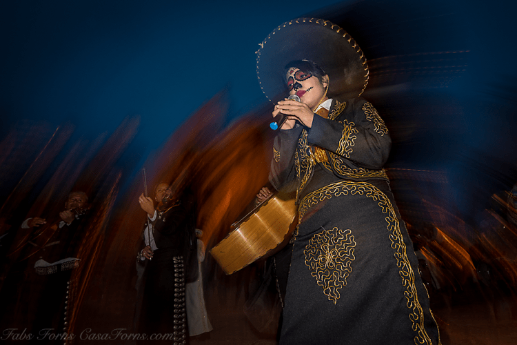 OAX littlenightmusic