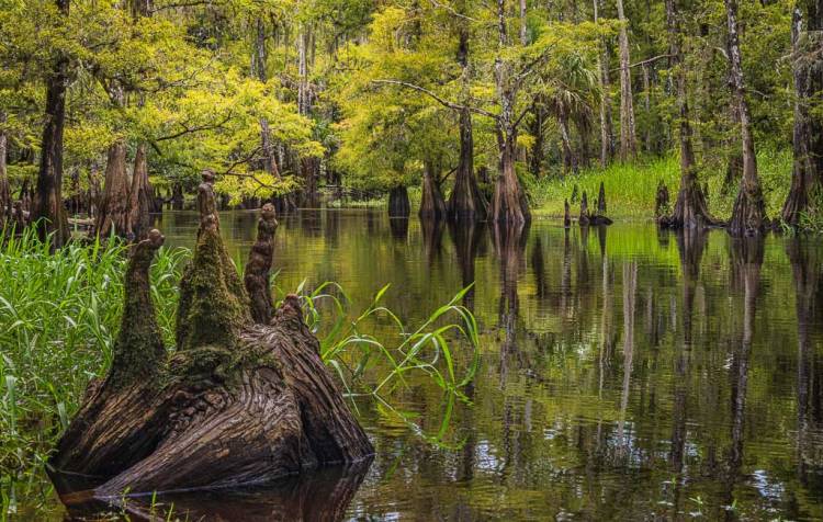 The unspoiled beauty