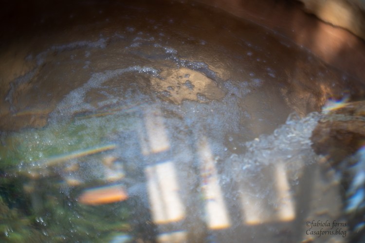 Reflections on the well.